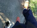 子猫の妨害で目的地に辿りつけない